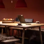 斯坎讷堡公园酒店 斯坎讷堡