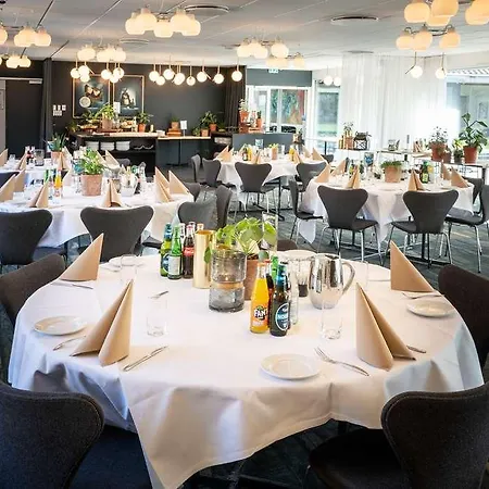 Skanderborg Park Hotel & Konference 4* Skanderborg